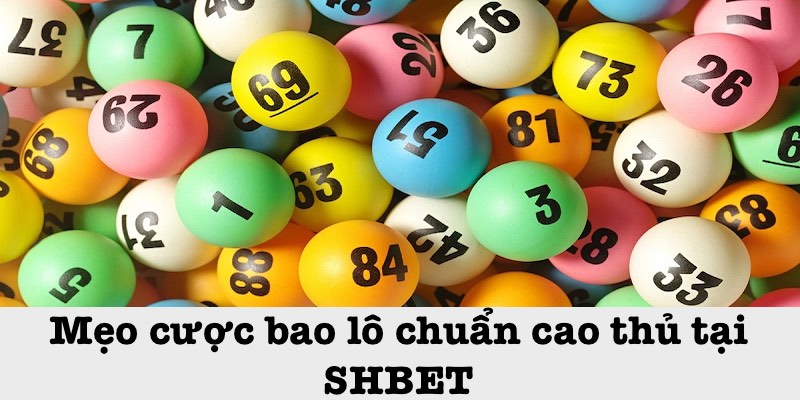 Mẹo đặt cược bao lô là gì?